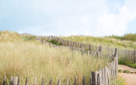 Apartment | View from property