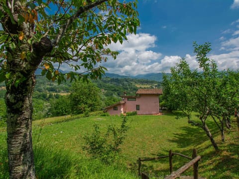 Grass, Vegetation, Natural Landscape, Grassland, Hill, Rural Area, Shrub, Landscape, Land Lot