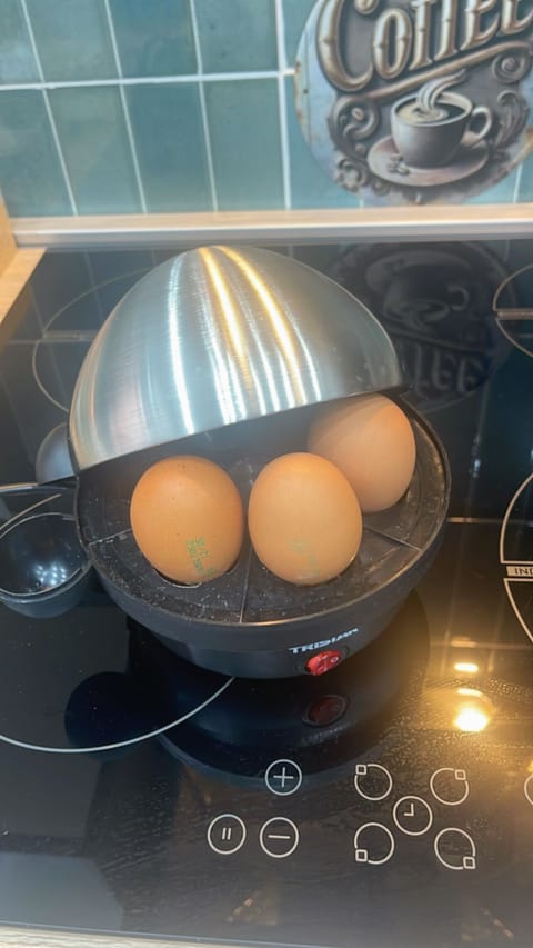 Full-size fridge, microwave, oven, stovetop