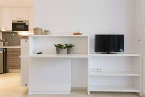 Living area desk & TV