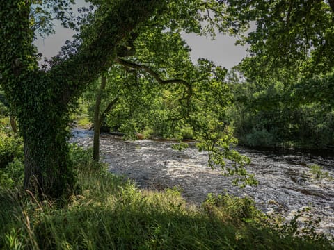 Experience the beauty of the Yorkshire Dales with a unique glamping stay