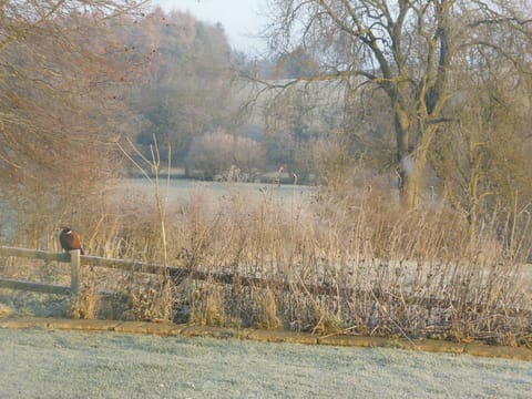 Land view from property