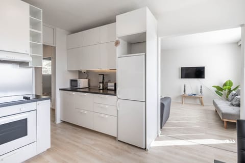 Fully equipped modern kitchen with access to the living room.