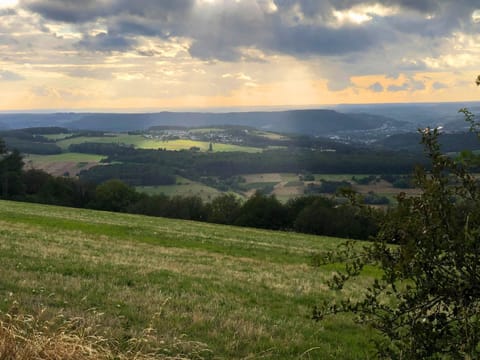 Apartment | View from property