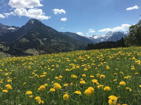 Around Oberstdorf you can go hiking.