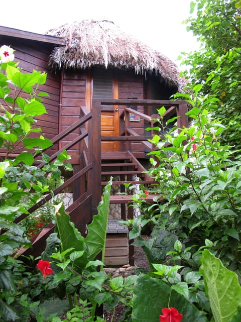 Tree House | In-room safe, individually decorated, individually furnished