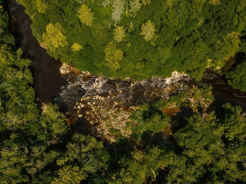 Disconnect to reconnect