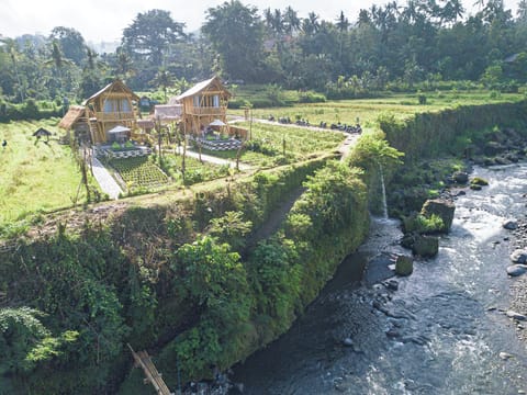 Panoramic Villa, River View | View from room