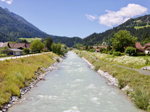 Immediate Surroundings [summer] (&lt;1 km)