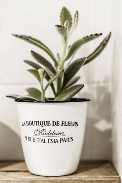 Desk, cribs/infant beds, free WiFi, bed sheets