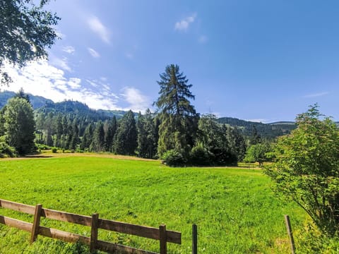 Tree, Grass, Green, Nature, Natural Environment, Leaf, Natural Landscape, Grassland, Vegetation, Summer