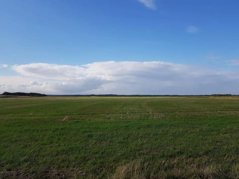 House | Miscellaneous