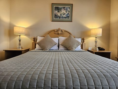 Room, 1 Queen Bed | Down comforters, memory foam beds, iron/ironing board, free WiFi