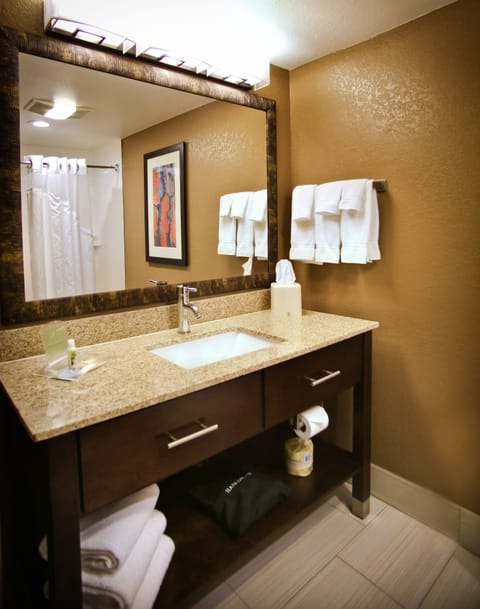Standard Room, 1 King Bed, Accessible (Mobility, Roll-In Shower) | Bathroom | Hair dryer, towels, soap, shampoo