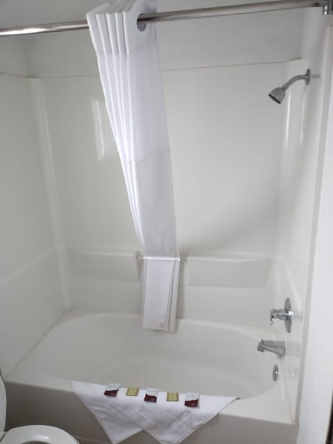 Combined shower/tub, hair dryer, towels