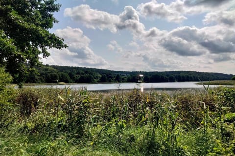 Immediate Surroundings [summer] (<1 km)