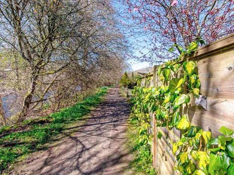 Garden | Tummel Bank, Pitlochry