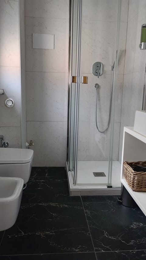 Shower, hair dryer, bidet, towels