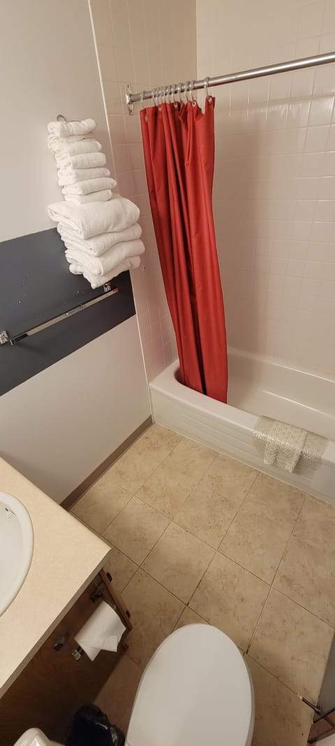 Combined shower/tub, free toiletries, towels