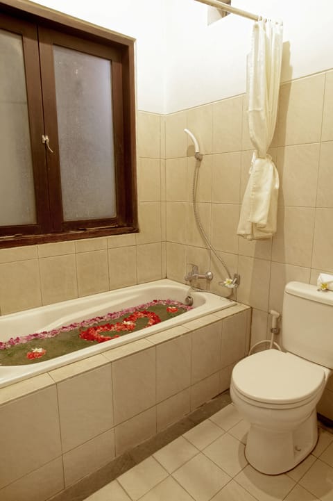 Combined shower/tub, free toiletries, hair dryer, towels