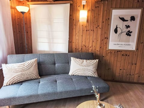 Furniture, Wood, Flooring, Interior Design, Floor, Wood Flooring, Room, Living Room, Wood Stain, Hardwood