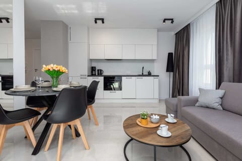 Comfortable, fold-out sofa in the living room.