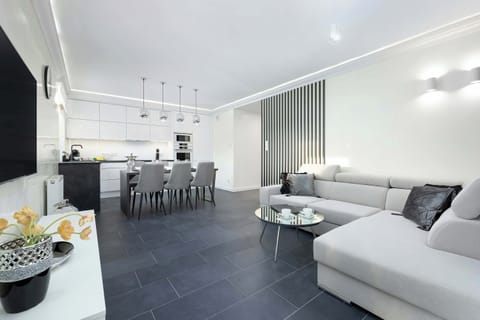 Comfortable, fold-out sofa in the living room. 