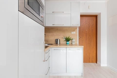 Kitchen space leading to the main entrance of the studio.