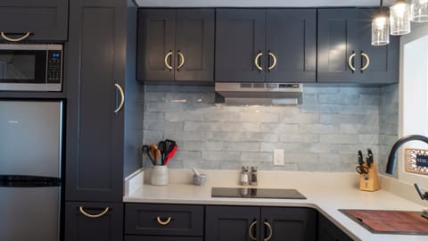 Luxury dome, lake view | Private kitchen | Fridge, microwave, stovetop, cookware/dishes/utensils