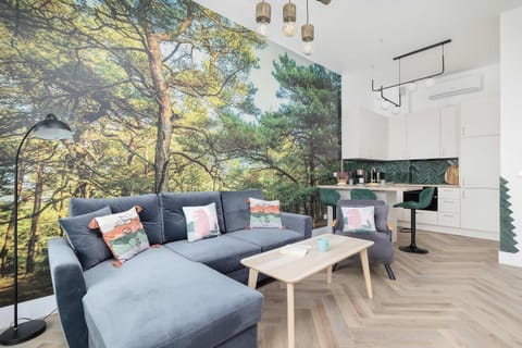 Comfortable, fold-out sofa in the living room. 