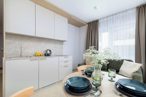 Fully equipped kitchenette with induction cooktop, refrigerator with freezer, dishwasher and dining table with chairs.