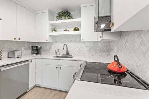 Kitchen | Electric Gas Stove