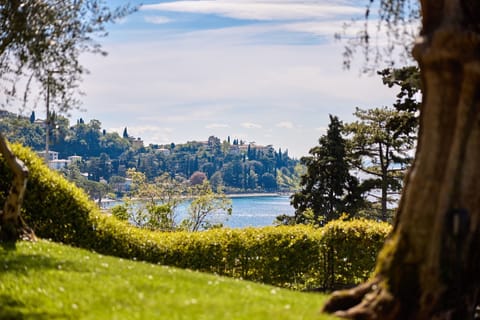 df86fa46-eba2-47c6-a83a-96ce0e81b936