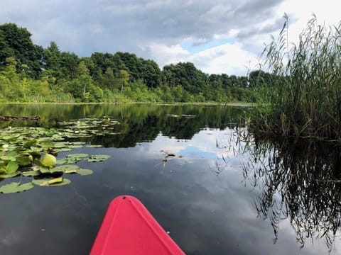 See-Nähe