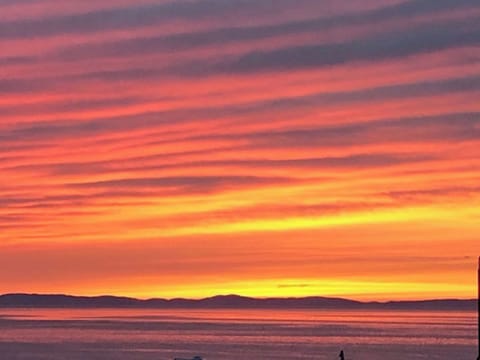 Surrounding area | Foreland Cottage, Ballantrae