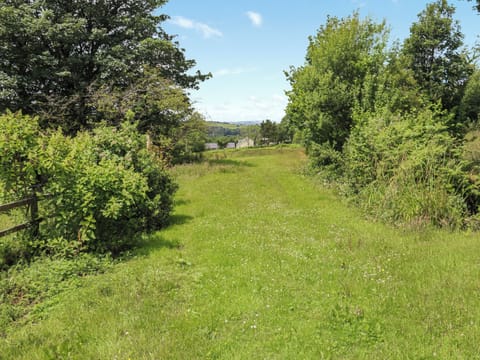 Surrounding area | Thatched Cottage - Llwyndryssi Retreats, Llandeilo