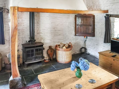 Living area | Thatched Cottage - Llwyndryssi Retreats, Llandeilo