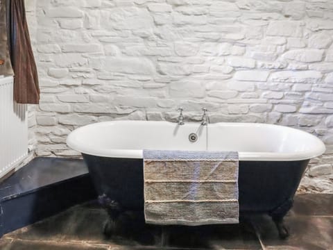 Bathroom | Thatched Cottage - Llwyndryssi Retreats, Llandeilo