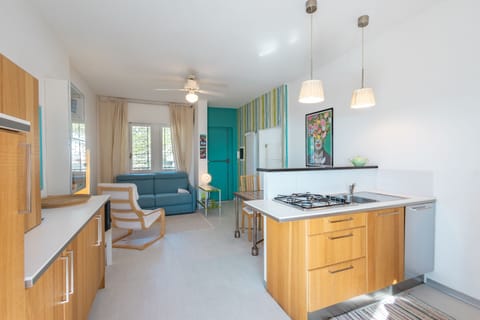 Apartment, 1 Queen Bed with Sofa bed, Sea View | Private kitchen | Fridge, microwave, stovetop, dishwasher