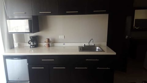 Suite, 1 Bedroom | Private kitchenette