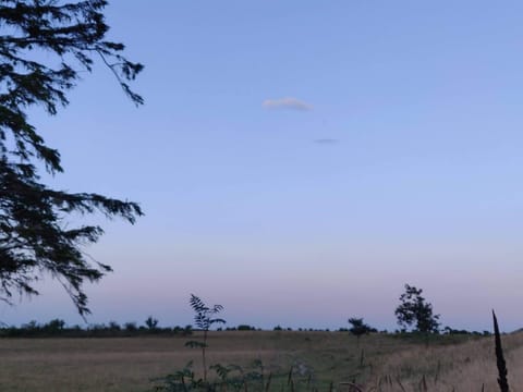 House | Miscellaneous