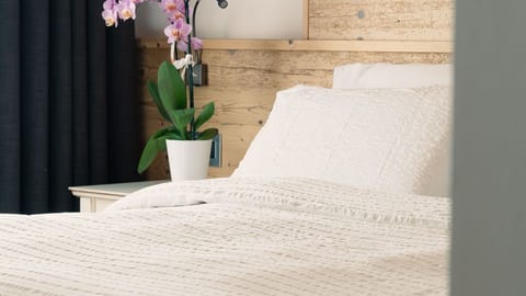 Family Room | In-room safe, free WiFi