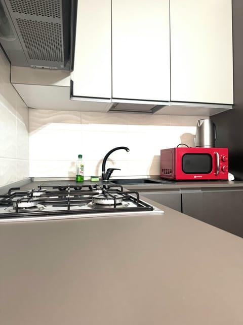 Apartment, Balcony | Private kitchen | Fridge, microwave, oven, stovetop