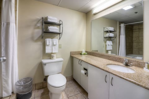 Combined shower/tub, free toiletries, hair dryer, towels