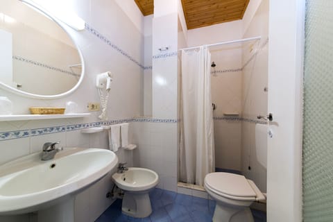 Standard Double Room | Bathroom | Shower, free toiletries, hair dryer, bathrobes