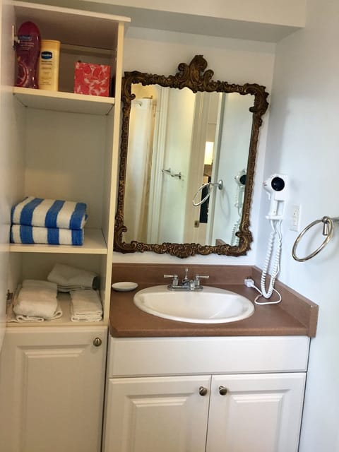 Executive Apartment | Bathroom | Free toiletries, hair dryer, towels
