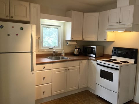 Executive Apartment | Private kitchen | Fridge