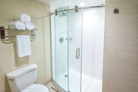 Combined shower/tub, free toiletries, hair dryer, towels