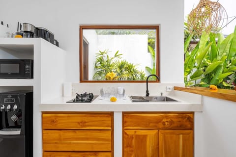 Basic Villa | Private kitchen | Fridge, microwave, stovetop, electric kettle