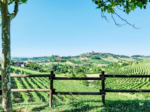 Natural Landscape, Grassland, Landscape, Hill, Land Lot, Fence, Rural Area, Field, Meadow, Pasture